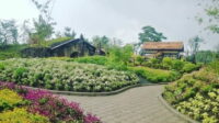 Wisata Farmhouse Lembang