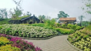 Wisata Farmhouse Lembang